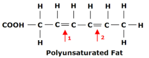 POLYUNSATURATED