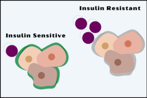 Improved Insulin Sensitivity